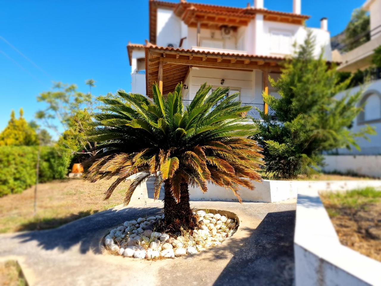 The Mirador Boutique Villa With Scenic Sea View Pórto Ráfti Exteriör bild